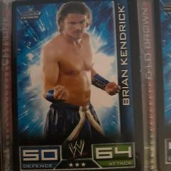 Brian Kendrick Wrestling Cards 2008 Topps WWE Slam Attax Prices