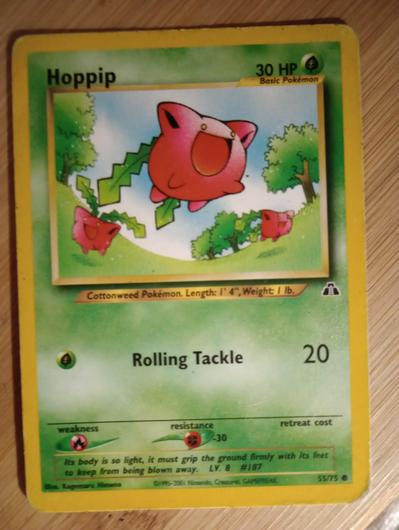 Hoppip #55 photo