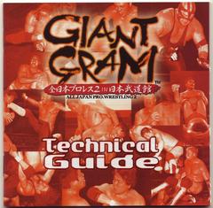 Technical Guide | Giant Gram: All Japan Pro. Wrestling 2 JP Sega Dreamcast