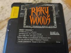 Cartridge (Front) | Risky Woods Sega Genesis