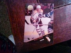 Mario Lemieux [93 leaf] Hockey Cards 1993 Upper Deck Nhlpa Roots Prices