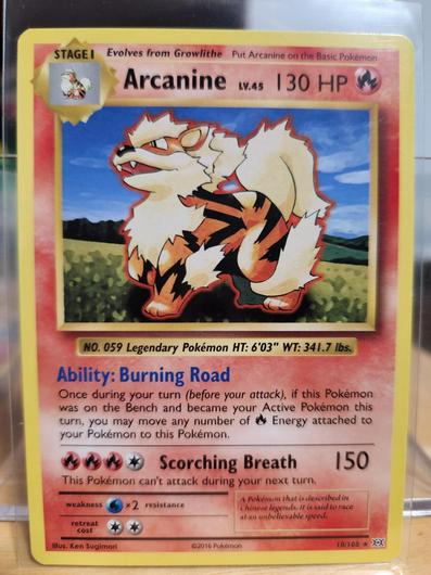 Arcanine #18 photo