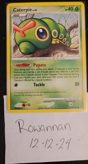 Caterpie #63 photo