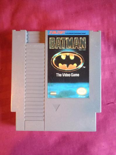 Batman The Video Game photo