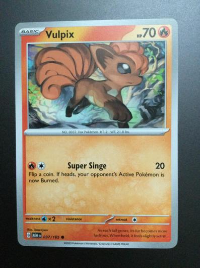 Vulpix #37 photo