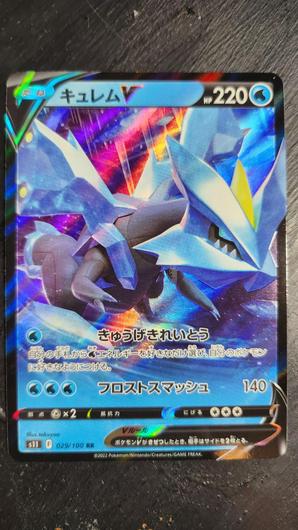 Kyurem V #29 photo