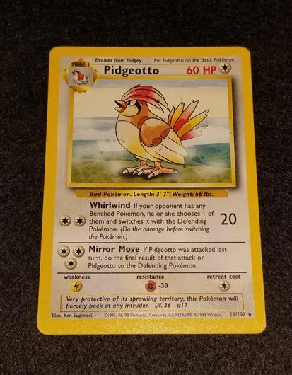 Pidgeotto #22 photo