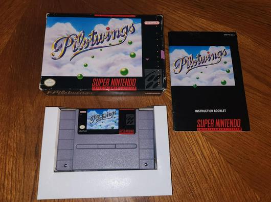 Pilotwings photo