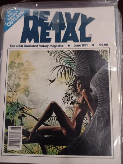 Heavy Metal #51 (1981) photo