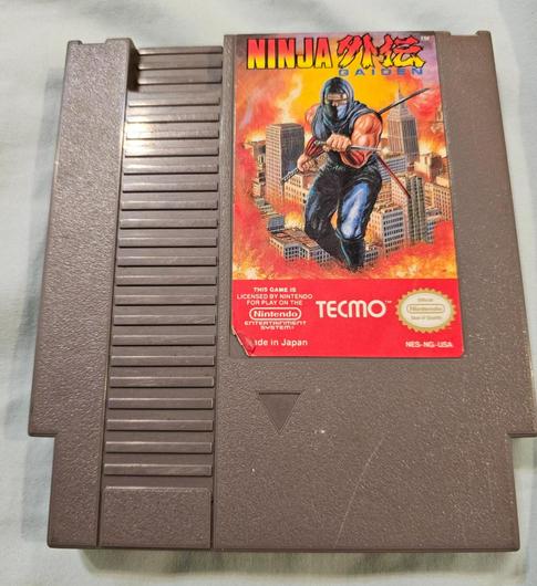 Ninja Gaiden photo