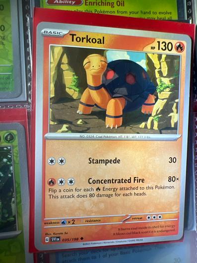 Torkoal #35 photo