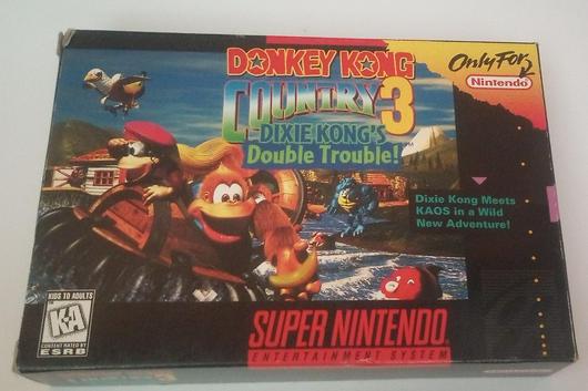 Donkey Kong Country 3 photo