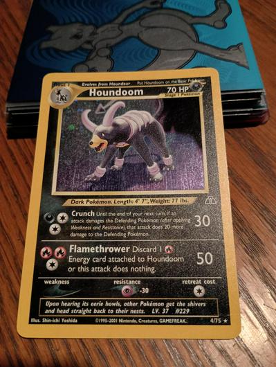 Houndoom #4 photo