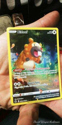 Bidoof #GG29 photo