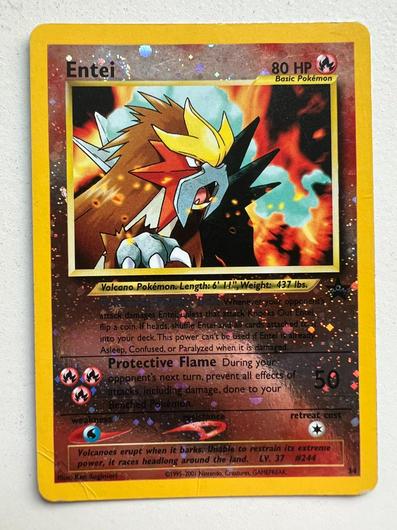 Entei #34 photo