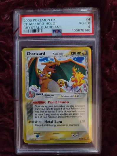 Charizard #4 photo