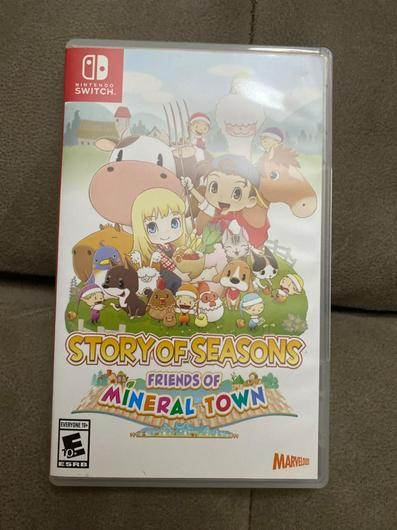 Story of Seasons: Friends of Mineral Town photo