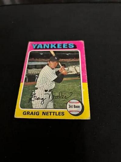 Graig Nettles #160 photo