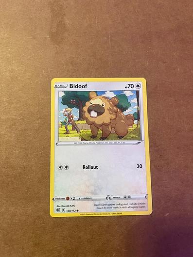 Bidoof #120 photo