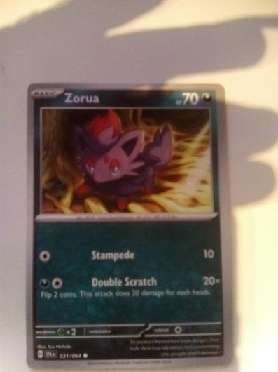 Zorua #31 photo