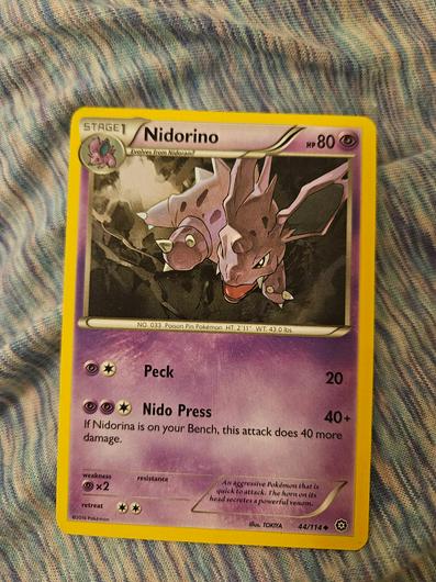 Nidorino #44 photo