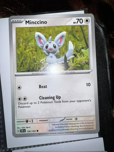 Minccino #136 photo