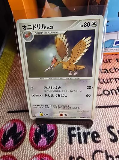 Fearow #36 photo