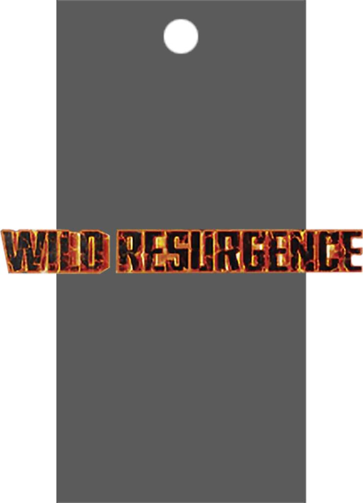 Wild Resurgence Booster Pack  Dragon Ball Super Wild Resurgence