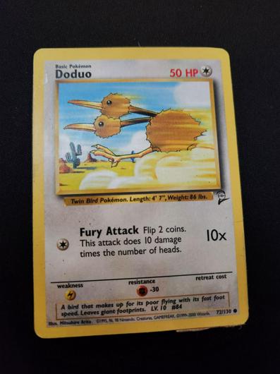 Doduo #72 photo