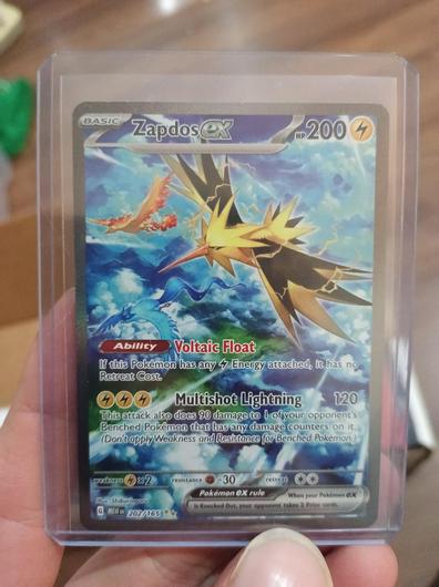 Zapdos ex #202 photo