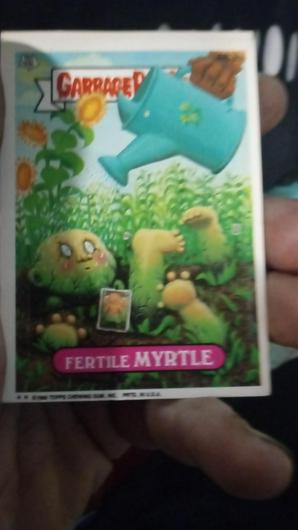 Fertile MYRTLE #483b photo