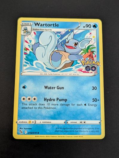 Wartortle #16 photo