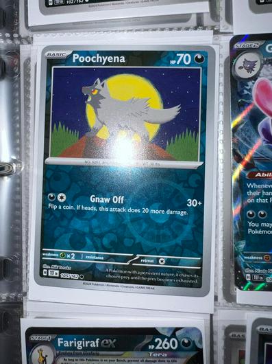 Poochyena [Reverse Holo] #105 photo