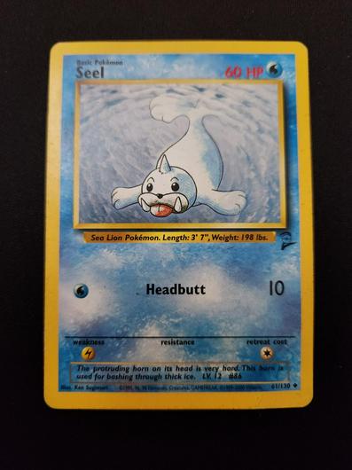 Seel #61 photo