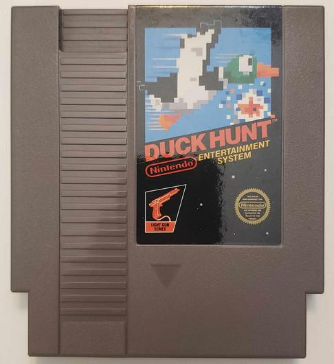 Duck Hunt photo