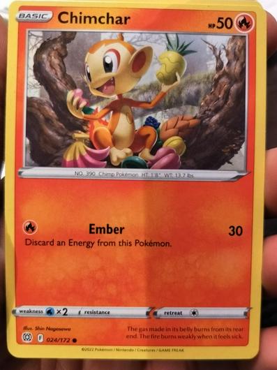 Chimchar #24 photo