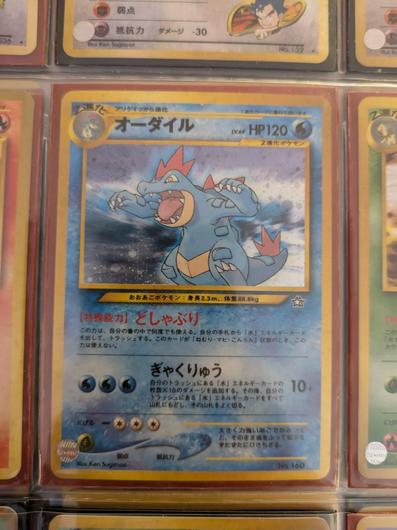 Feraligatr #160 photo