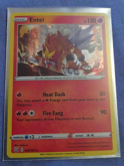 Entei #20 photo