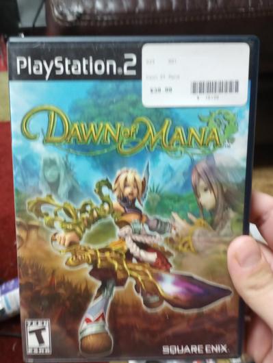 Dawn of Mana photo