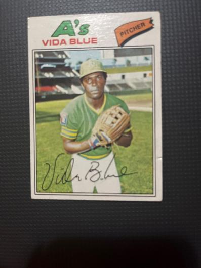 Vida Blue #230 photo