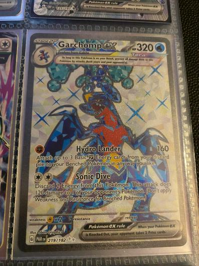 Garchomp ex #219 photo