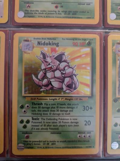 Nidoking #11 photo