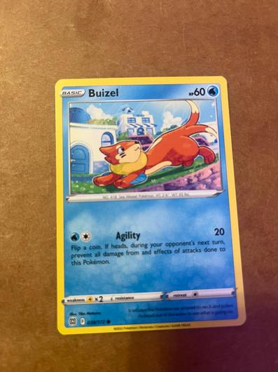 Buizel #38 photo