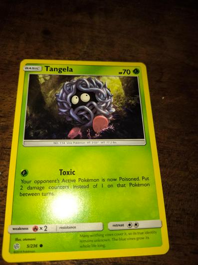 Tangela #5 photo