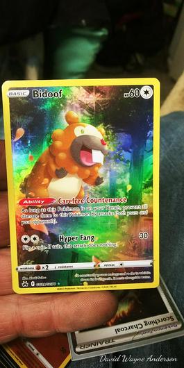 Bidoof #GG29 photo