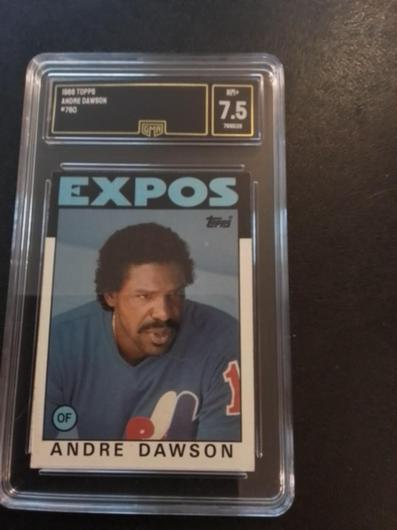 Andre Dawson #760 photo