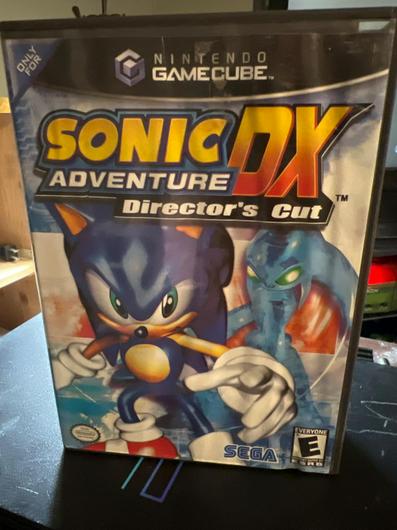 Sonic Adventure DX photo