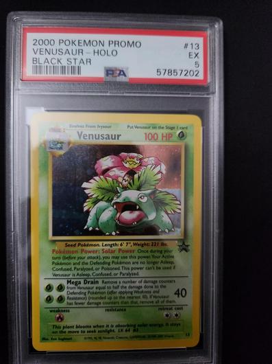 Venusaur #13 photo