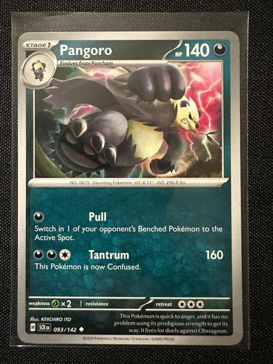 Pangoro #93 photo