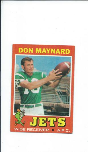 Don Maynard #19 photo